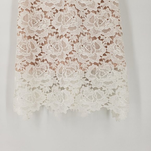 JULIA JORDAN White Lace Overlay & Dust Pink Mesh A-Line Dress 10 - Picture 5 of 9